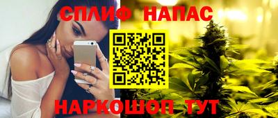 прущие грибы Кингисепп