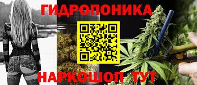 эйфоретик Кинель
