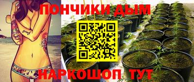 прущие грибы Кингисепп