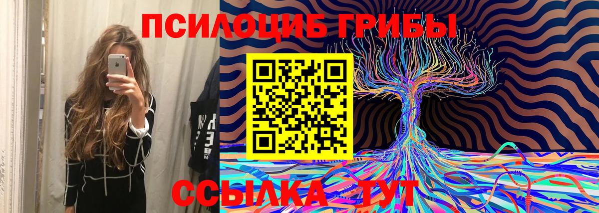 Галлюциногенные грибы мухоморы  Вход с VPN  Канаш 